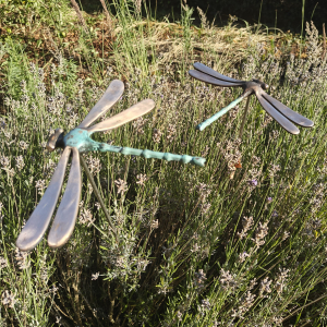 Hilde Peeters - Libel - model 2 (Bronze)